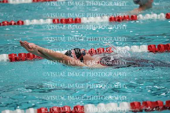 WISWG_19_S20021