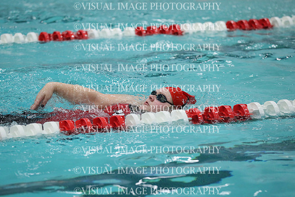 WISWG_19_S20028