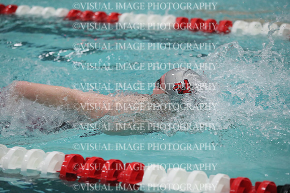 WISWG_19_S20032