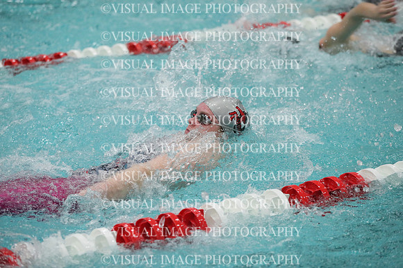 WISWG_19_S20034