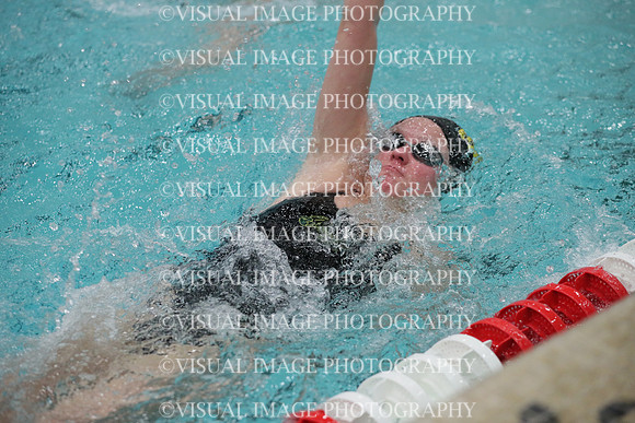 WISWG_19_S20036
