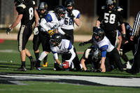 ILFB_13_10019