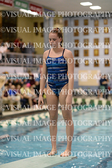 ILSWG13_DIVE_003