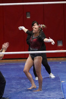 Uneven Bars