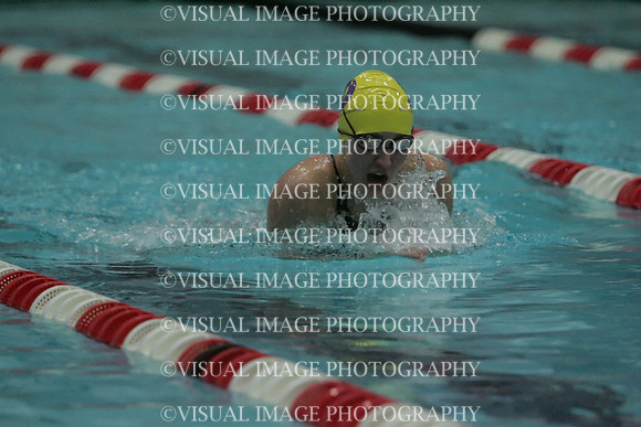 wiswg09_1breast_2035