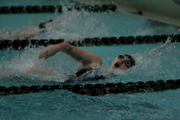 wiswg09_2med_2011