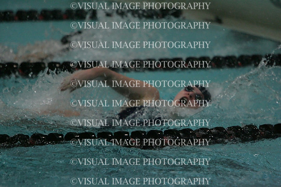 wiswg09_2med_2011