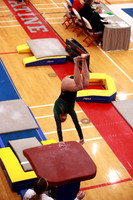 Vault