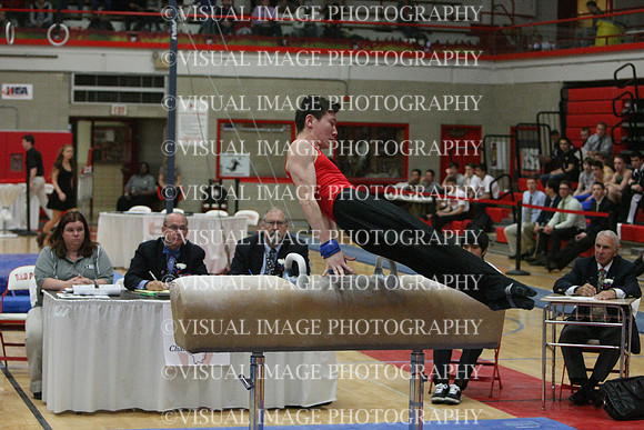 ILGYM14_PHORSE_I076