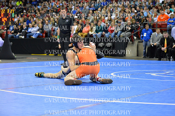WIIWR20_120_F2013
