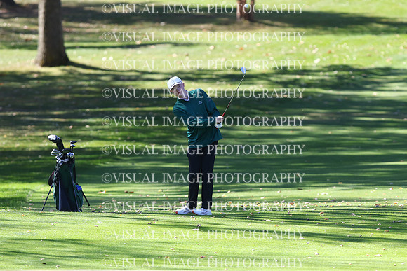 ILGF_24_T202017