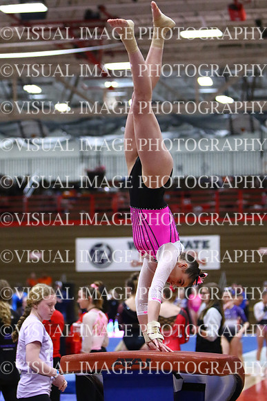 WIGYMG25_VAULT_I013