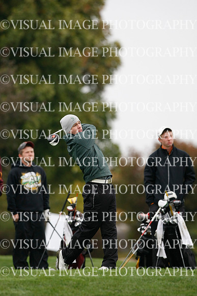 ILGF_13_IND30008