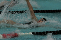 wiswg09_2med_2009