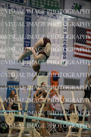 ILSWG13_DIVE_032
