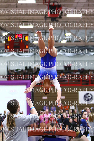WIGYMG25_VAULT_I037