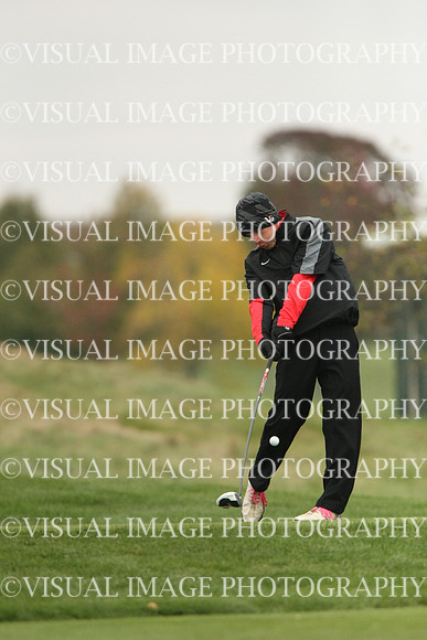 ILGF_13_T107008