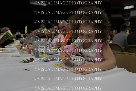 IBCA22_COY_C004