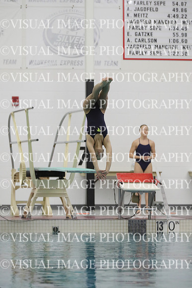 WISWG_20_D2029