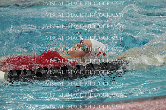 WISWG_20_S20018