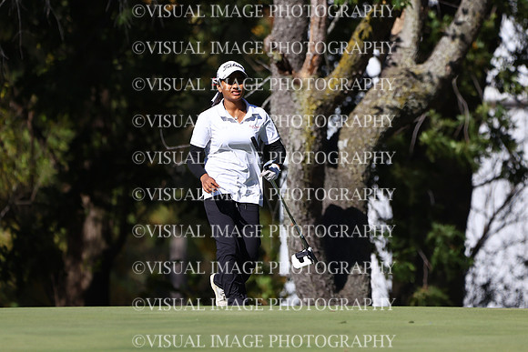ILGFG_24_205001