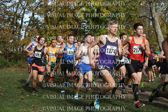 ILXC_16_30018