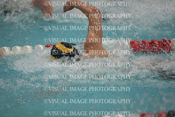 wisw10_1free_1012