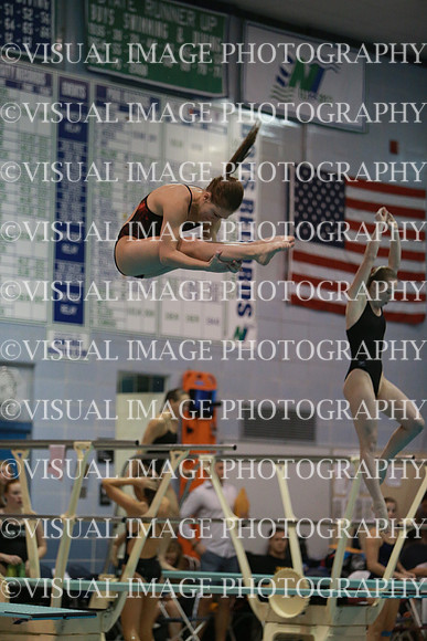 ILSWG13_DIVE_035