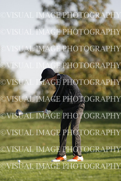 ILGF_16_T302042