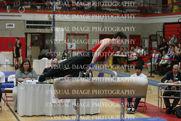 ILGYM14_PHORSE_I074