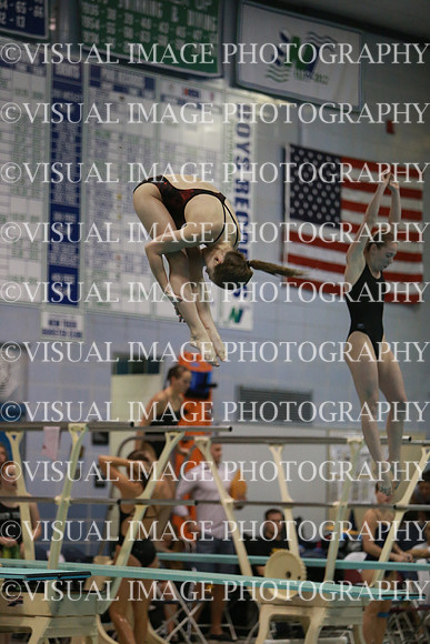 ILSWG13_DIVE_036
