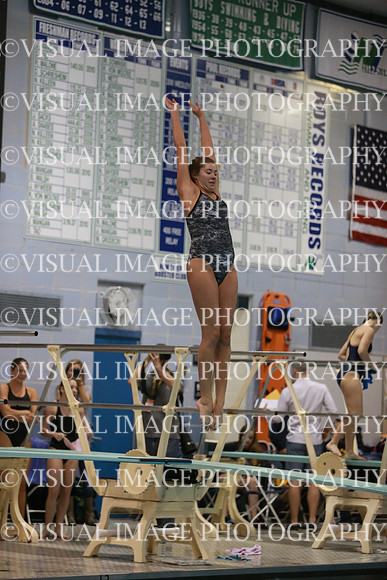ILSWG13_DIVE_012