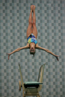 wiswg09_dive_2008