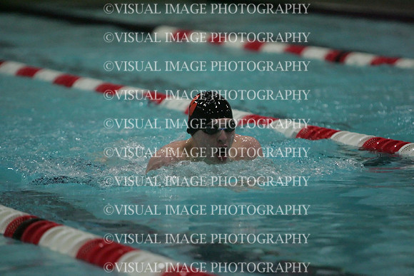 wisw09_1breast_2015