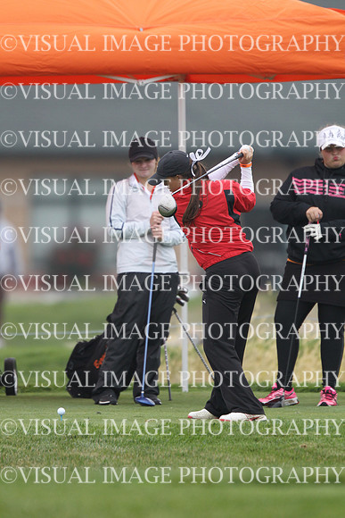 ILGFG_13_T108026