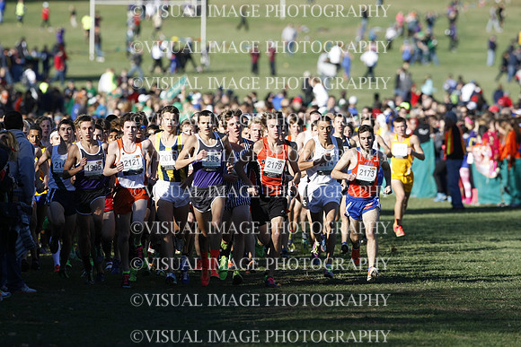 ILXC_13_30014