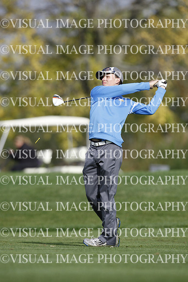 ILGF_14_IND30007