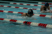 wiswg09_2med_2013