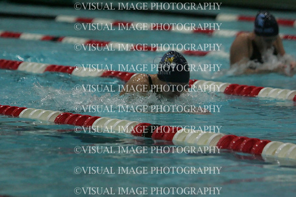 wiswg09_2med_2013