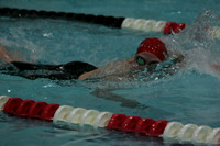wiswg09_5free_2003