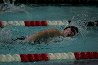 wiswg09_5free_2011