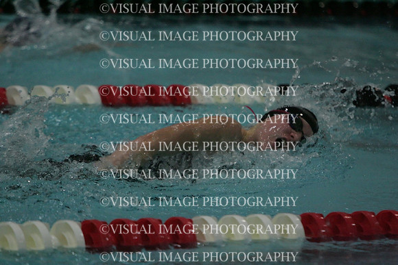 wiswg09_5free_2011