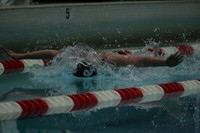 100 butterfly