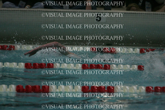 wiswg09_1free_2029