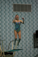 wiswg09_dive_2005