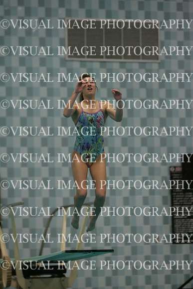 wiswg09_dive_2005