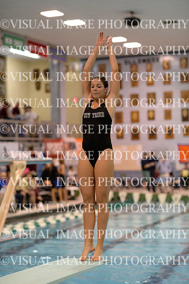 ILSWG13_DIVE_009