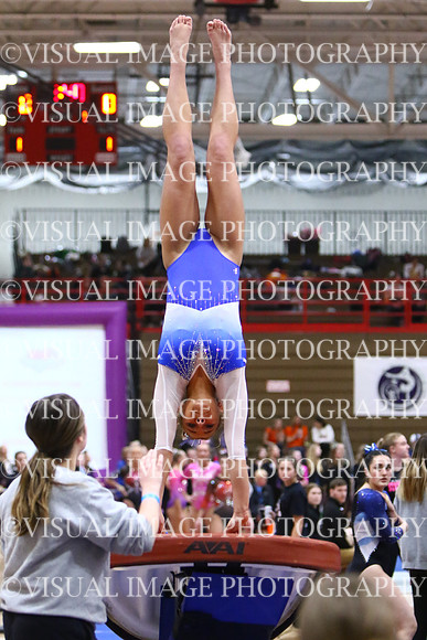 WIGYMG25_VAULT_I036