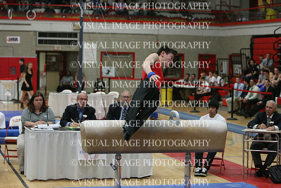 ILGYM14_PHORSE_I075