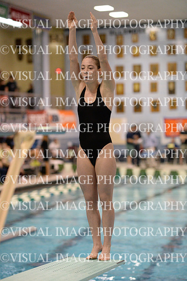 ILSWG13_DIVE_001